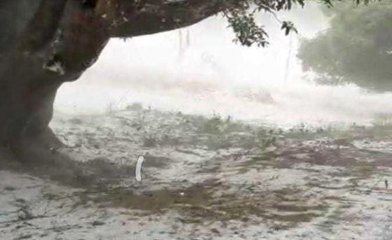 Chhattisgarh Weather Forecast भिलाई में आंधी से पेड़ की डाली टूटकर युवक पर गिरने से मौत,प्रदेश में कई जगहों पर बारिश-ओले पड़े
