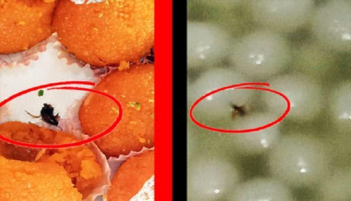 न्यू दिल्ली स्वीट्स की मिठाई लड्डू में चींटी... तो रसगुल्ले में मिले कीड़े...अफसरों ने की बड़ी कार्रवाई