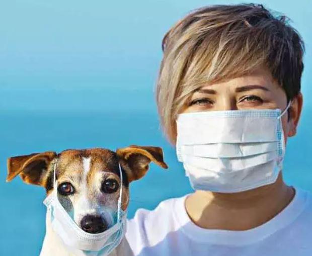 ब्रेकिंग: मलेशिया में मिला एक नया कोरोना वायरस, कुत्‍ते से इंसानों में हुआ संक्रमण