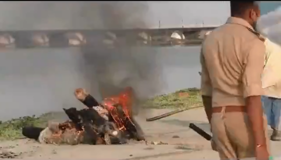 गंगा में बहकर आए शवों के साथ क्या किया जा रहा है.... रोंगटे खड़े कर देगा ये वीडियो