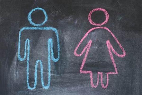 लैंगिक समानता में छत्तीसगढ़ देश में टॉप पर... नीति आयोग ने जारी की रिपोर्ट