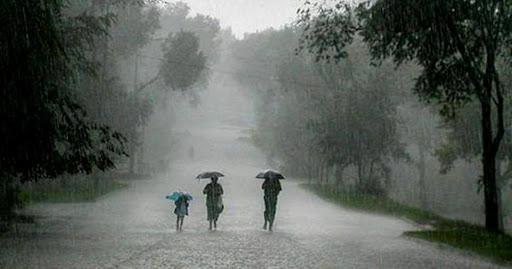 प्रदेश में अब तक 494.5 मि.मी. औसत वर्षा दर्ज, जानें आपके जिले में कितनी हुई बारिश