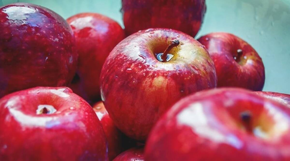 किसान बिल का डर हुआ सच साबित, हिमाचल में अडानी के अच्छे दिन, किसानों को सेब पर हो रहा 16 रुपए प्रति किलो का घाटा