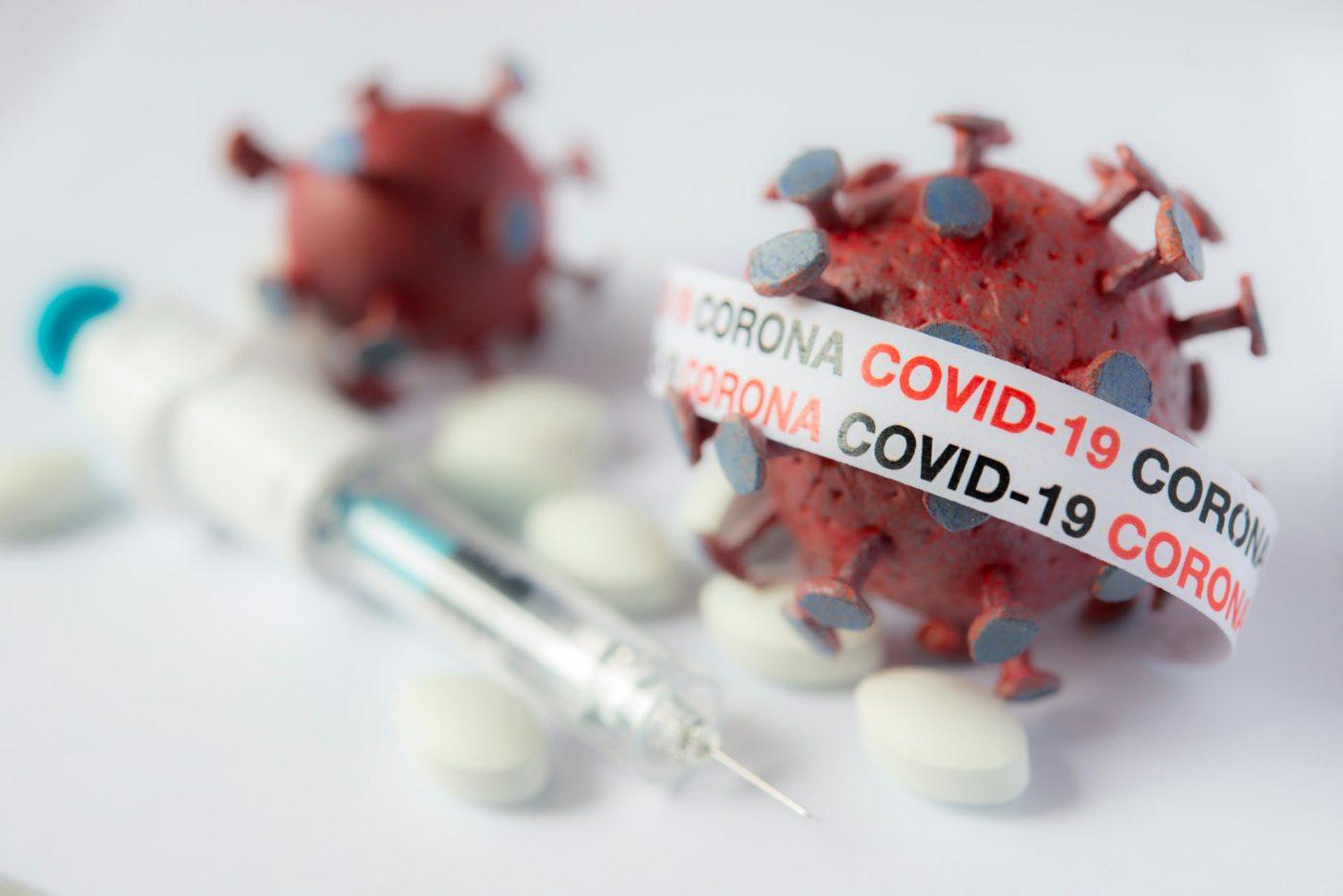 मार्केट में जल्द आ सकती है कोविड की दवा, घोड़ों की एंटीबॉडी से बनी दवा का जारी है परीक्षण