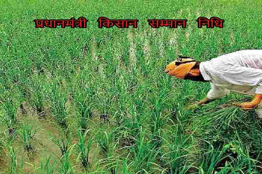 6989 अपात्र किसानों ने हासिल कर ली 1 करोड़ 40 लाख रुपये की किसान सम्मान निधि, अब वसूली का झंझट
