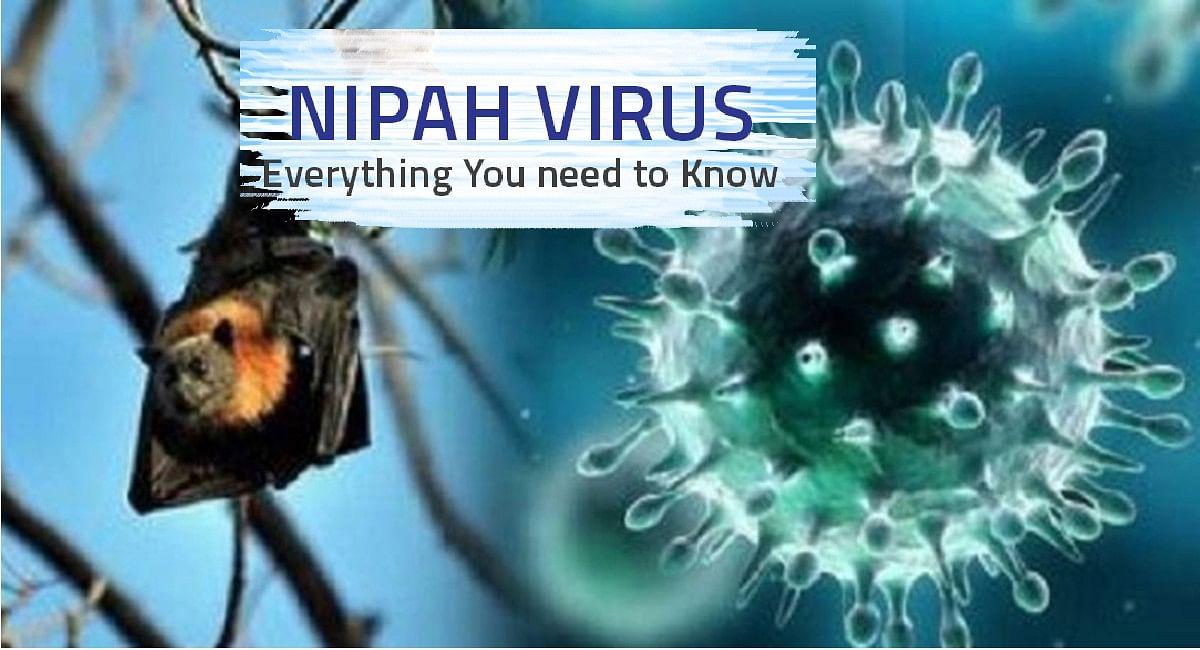 After the death of a 12-year-old child, Nipah virus has wreaked havoc in this state, these symptoms are being found