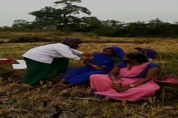 एक अनोखा प्रयास ऐसा भी : वैक्सीनेशन के लिए ग्रामीणों को तैयार करने हंसिया लेकर खेत में उतरे स्वास्थकर्मी, पसीजा किसानों का दिल, देखें वीडियो