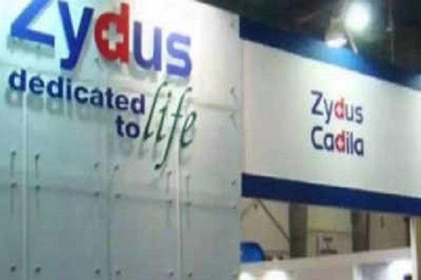 Zydus Cadila से 1 करोड़ Needle Free Vaccine खरीदेगी भारत सरकार, 265 रुपये प्रति डोज पर सौदा तय