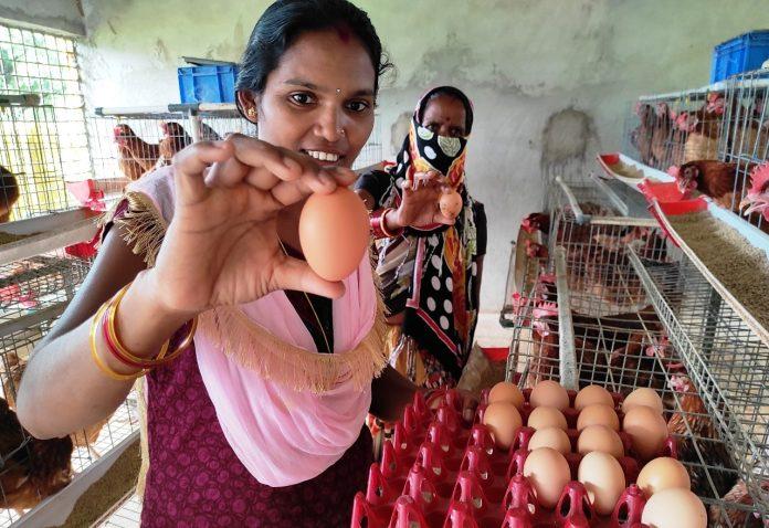 अंडे का फंडा समझ नक्सल क्षेत्र की महिलाएं कर रही हैं कमाई, 44 हजार अंडों से हुआ 25 लाख का फायदा