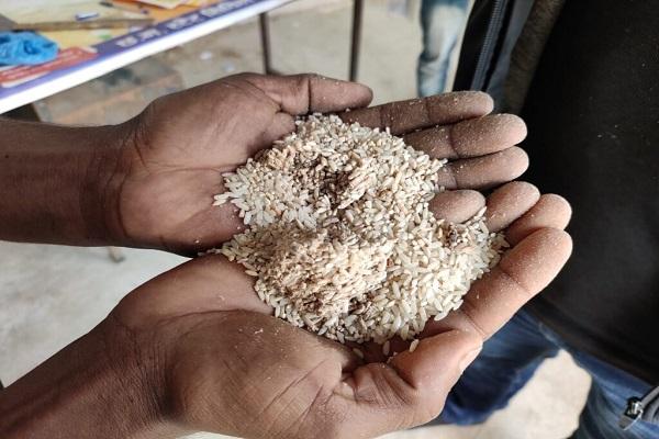 पहले अमानक धान दिया मिलिंग के लिए, जब चावल घटिया निकला तो राइस मिलरों पर थोप दी जिम्मेदारी... लाखों का चावल लौटाने का दिया आदेश
