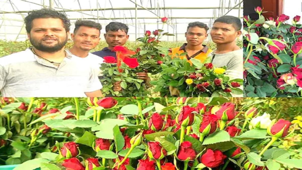 यह हैं छत्तीसगढ़ के 'रोज़ मैन'... मल्टीनेशनल कंपनी की नौकरी छोड़ गुलाबों की खेती से कमा रहे लाखों
