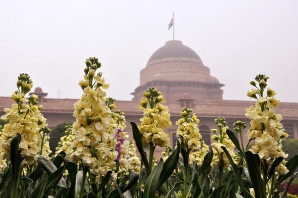 12 फ़रवरी से आम लोगों के लिए खुल जायेगा राष्ट्रपति भवन का मुगल गार्डन, इन्हें नहीं मिलेगी प्रवेश की अनुमति
