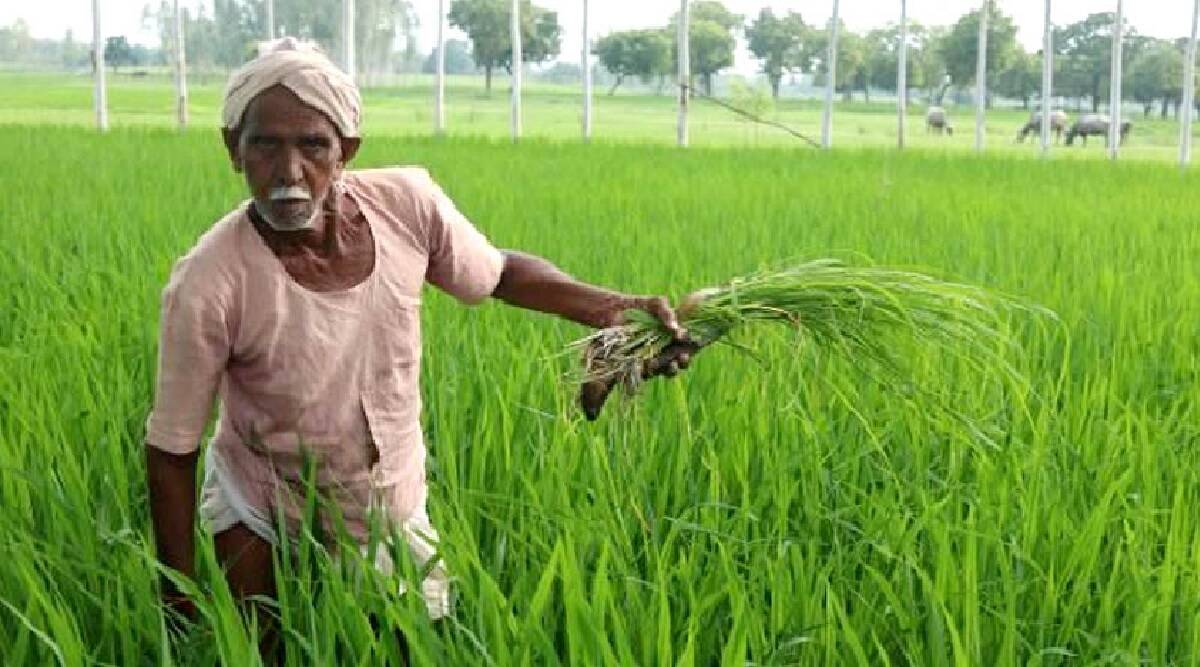 ब्रेकिंग न्यूजः पीएम किसान सम्मान निधि के लिए केवायसी अनिवार्य, सीएम ने दिए निर्देश