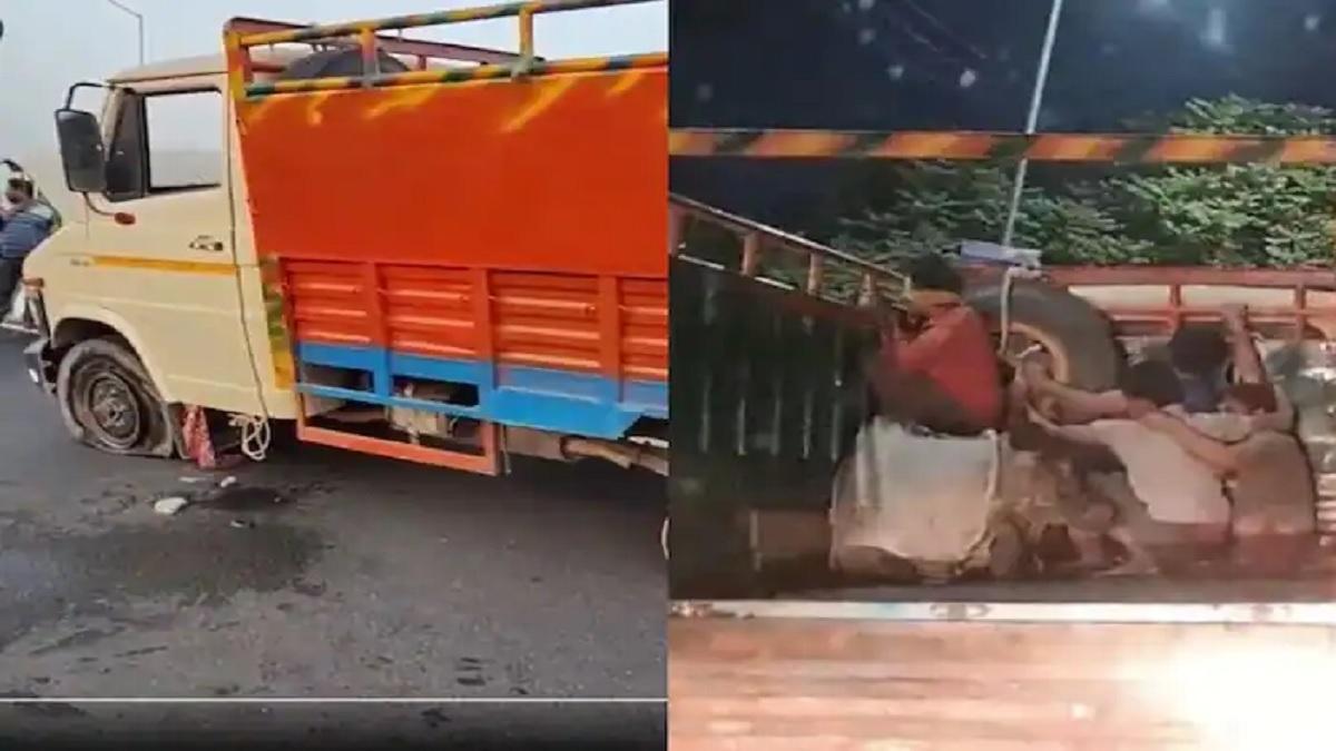 चलती ट्रक से जिंदा गायों को फेंका, टायर फटने पर भी 22 km तक गाड़ी दौड़ाते रहे गौ तस्कर