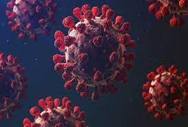 Coronavirus Update : पिछले 24 घंटे में मिले 2,710 मामले, 14 लोगों की हुई मौत