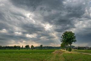 Light rain may occur in almost all the districts of the state with thunderstorms