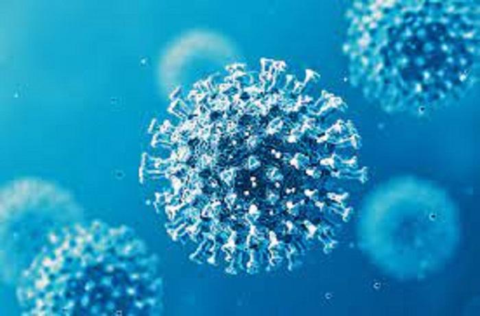 Coronavirus in India : तेजी से बढ़ रहा कोरोना का ग्राफ! बीते 24 घंटे में मिले 8 हजार से ज्यादा मामले, 50 हजार के करीब हुए एक्टिव केस
