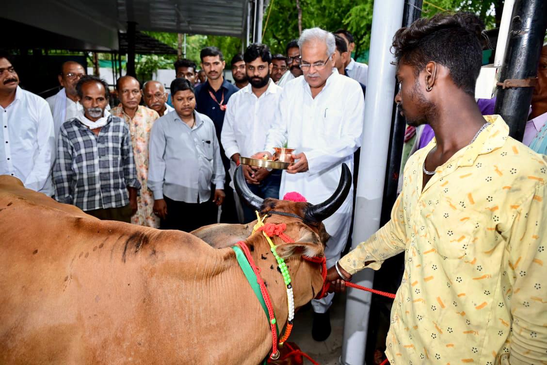 गोबर की रिकॉर्ड खरीदी पर महिला समूह और किसानों ने मुख्यमंत्री को उपहार में दिया “गाय-बछड़ा”
