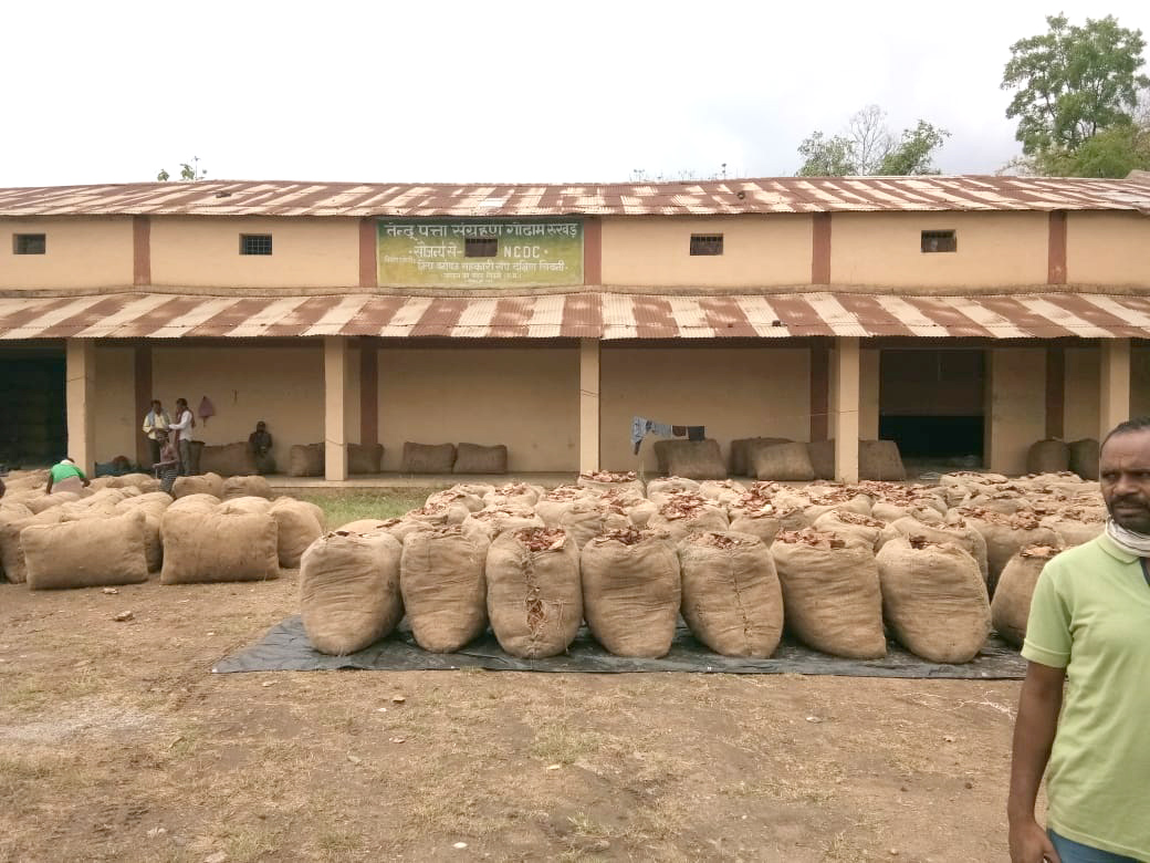 सुकमा जिले से गायब किया गया लाखों का तेंदूपत्ता उड़ीसा से जब्त