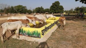 गौठान संचालन में लापरवाही बरतने पर ग्रामीण कृषि विस्तार अधिकारी सस्पेंड