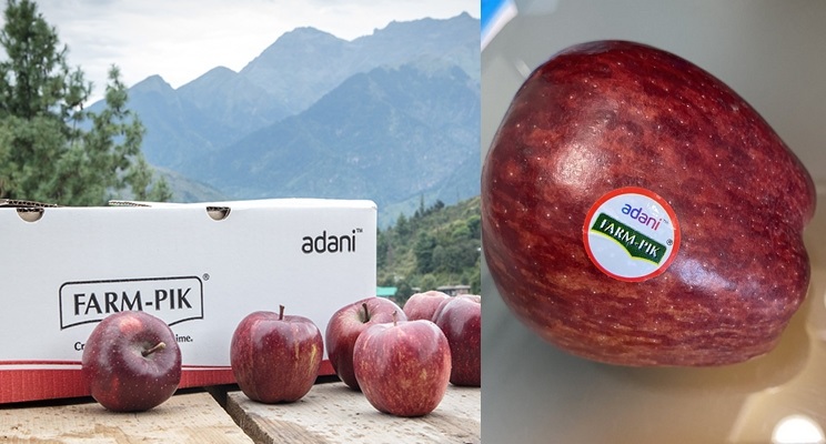 सेब पर हिमाचल में राजनीति; 70 रु में सेब खरीदकर 300 रुपए में बेच रहे हैं पीएम के दोस्त अडानी- कांग्रेस
