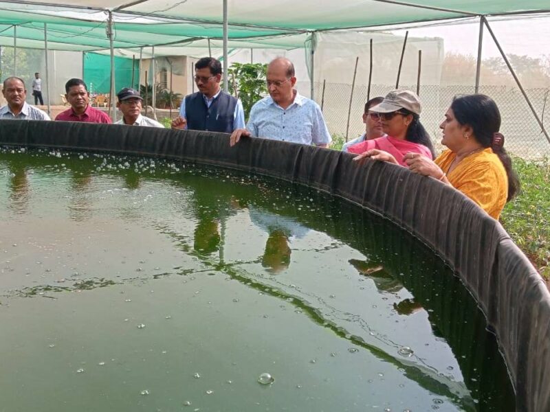 छत्तीसगढ़ में हो रहा Aquatic Chicken का उत्पादन, लाजवाब स्वाद के साथ मिलता है भरपूर पोषण
