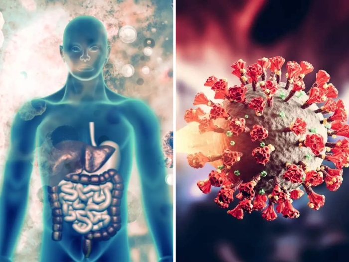 Increase Immunity Naturally