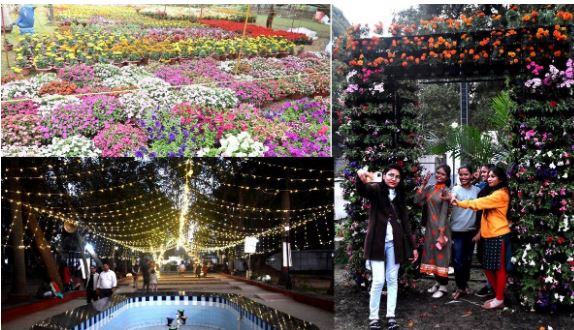 Raipur-Flower-Exhibition-Exhibition-of-colorful-flowers-in-Gandhi-Udyan-from-tomorrow-selfie-zone-also