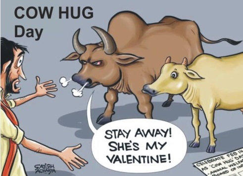COW HUG DAY