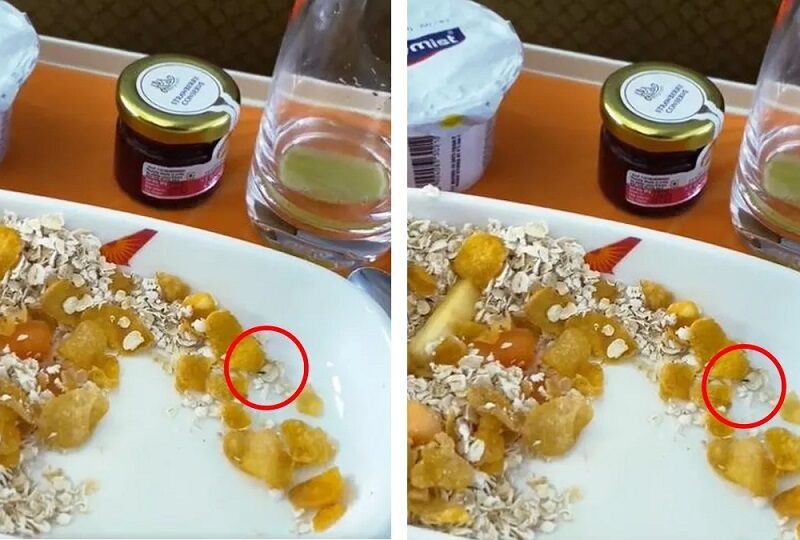 अब एयर इंडिया के बिजनस क्लास में सर्व किए गए खाने में मिला जिंदा कीड़ा