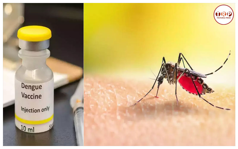एक ही डोज में होगा डेंगू का सफल इलाज, सीरम इंस्टीट्यूट के चेयरमैन ने किया ऐलान