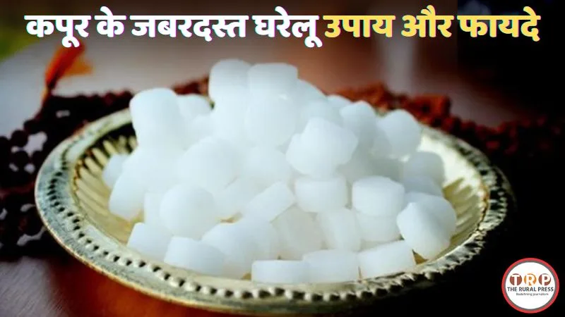 कपूर के घरेलू उपाय और उपयोग।