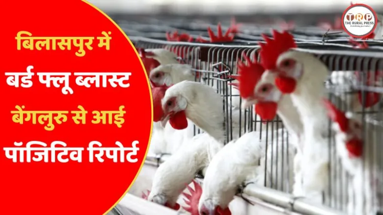 Bird Flu confirmed in Bilaspur Koni Government Poultry Farm Chhattisgarh official report.