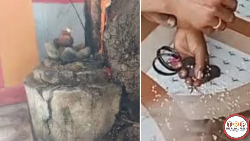 जनकपुर में बैगा समाज द्वारा निकारि प्रथा का आयोजन।