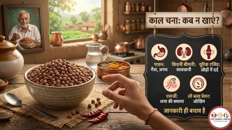Black Gram side effects and health precautions in Hindi.