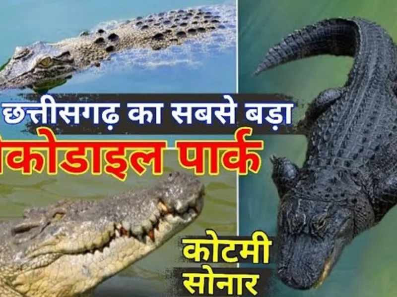 कोटमी सोनार मगरमच्छ संरक्षण रिजर्व जांजगीर-चांपा