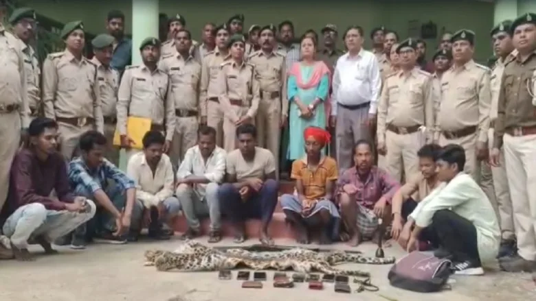 Forest department officials seize leopard skin in Keskal Chhattisgarh.