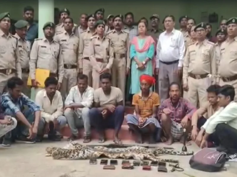 Forest department officials seize leopard skin in Keskal Chhattisgarh.