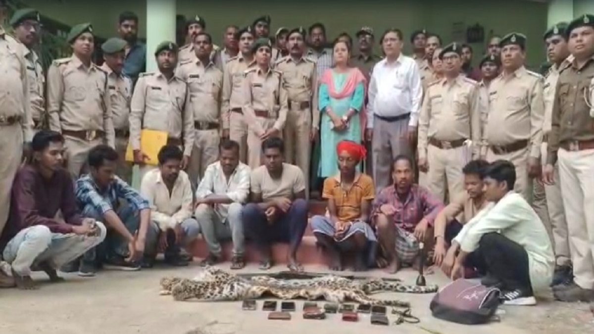 तेंदुए की खाल की तस्करी पर वन विभाग की बड़ी कार्रवाई, केशकाल में 9 आरोपी गिरफ्तार