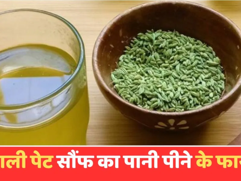 Fennel Water Benefits: उमस और गर्मी से हैं परेशान? रोज सुबह खाली पेट पिएं सौंफ का पानी, शरीर को मिलेंगे ये जादुई फायदे