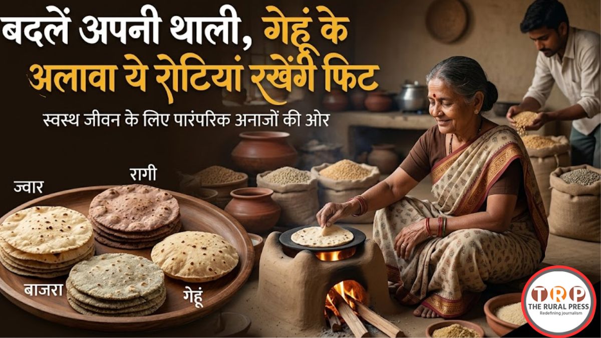 Healthy Roti Types: सिर्फ गेहूं की रोटी ही क्यों? थाली में शामिल करें ये 5 तरह के अनाज, बीमारियों से रहेंगे दूर