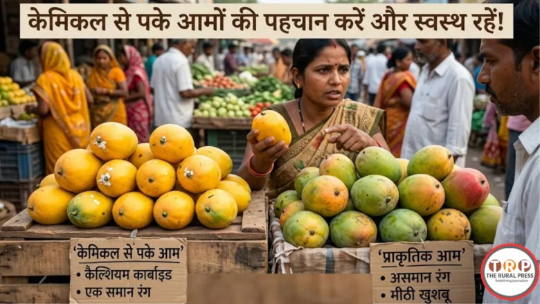 बाजार में केमिकल और प्राकृतिक रूप से पके आम की पहचान।