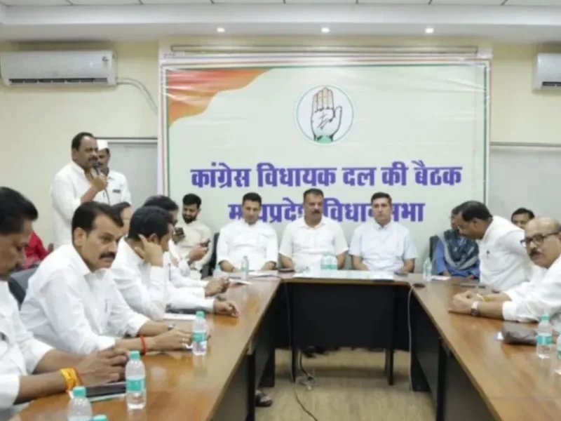 Meenakshi Natarajan: मीनाक्षी नटराजन का नामांकन रद्द, खड़गे के आवास पर कल बैठक, सुप्रीम कोर्ट जाएगी कांग्रेस