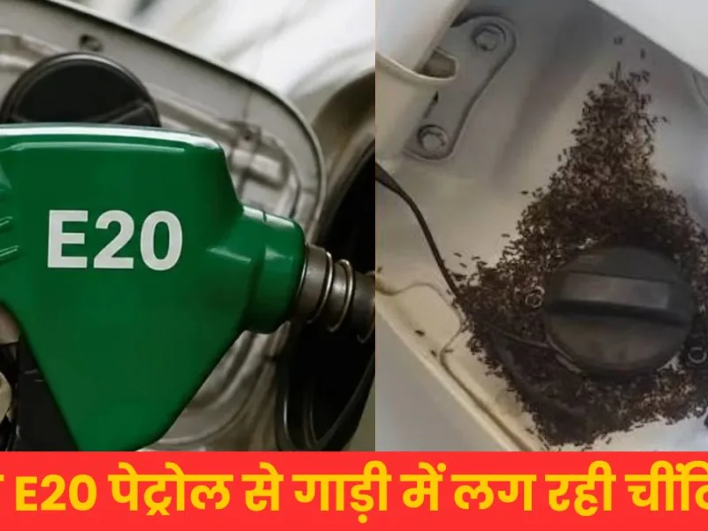 क्या E20 पेट्रोल से गाड़ी में लग रही चींटियां? सच्चाई जानकर चौंक जाएंगे आप, कंपनी ने तोड़ी चुप्पी