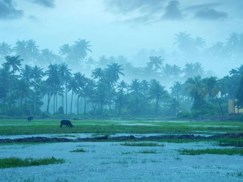 Monsoon Arrival India 2026: केरलम में मानसून की एंट्री आज शाम! अगले 7 दिन इन राज्यों में भारी बारिश का अलर्ट, जानें दिल्ली-बिहार का हाल