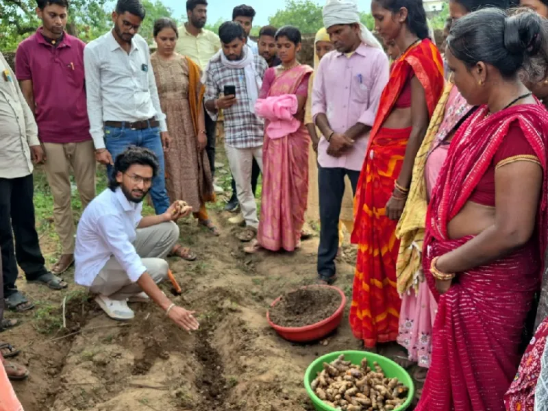 हल्दी की खेती से बदल रही किसानों की तकदीर