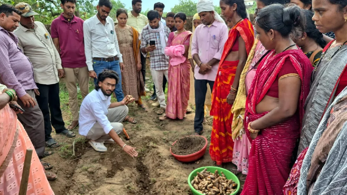 हल्दी की खेती से बदल रही किसानों की तकदीर