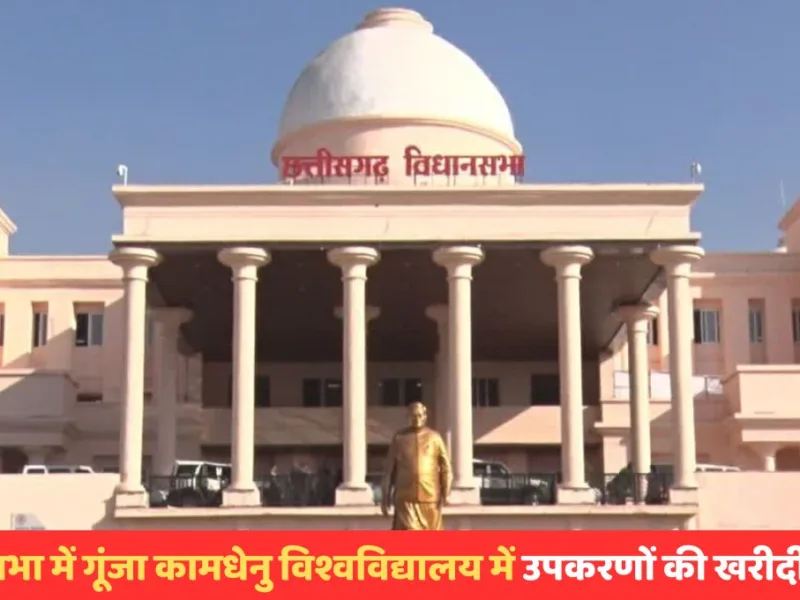 CG Assembly Monsoon Session : विधानसभा में गूंजा कामधेनु विश्वविद्यालय में उपकरणों की खरीदी का मुद्दा, MLA ललित चंद्राकर के सवाल पर मंत्री ने दिया ये जवाब…