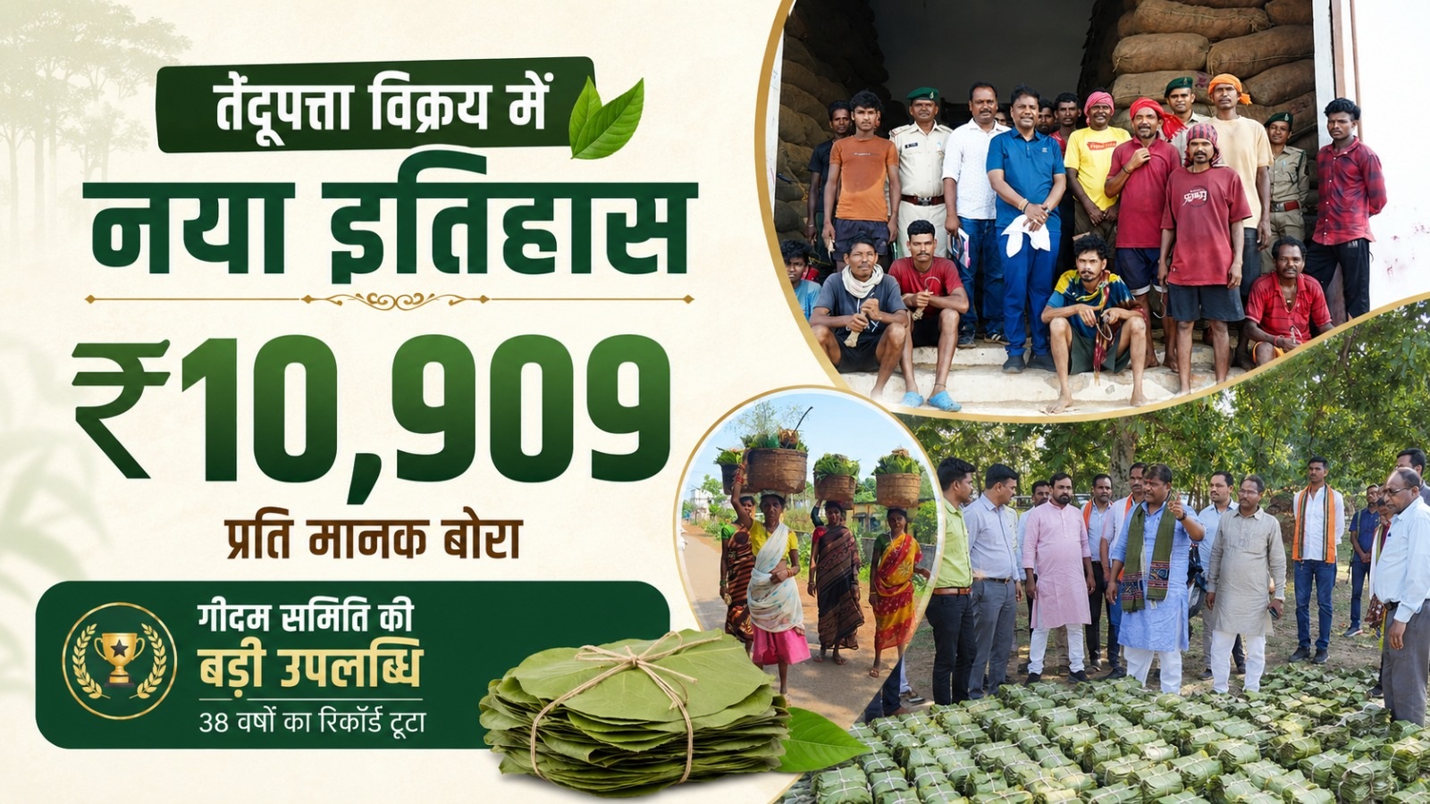 Chhattisgarh News: तेंदूपत्ता बिक्री में टूटा 38 साल का रिकॉर्ड, 4 हजार परिवारों की चमकी किस्मत