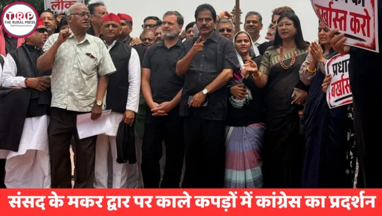संसद के मकर द्वार पर नीट पेपर लीक के विरोध में काले कपड़े पहनकर प्रदर्शन करते विपक्षी सांसद